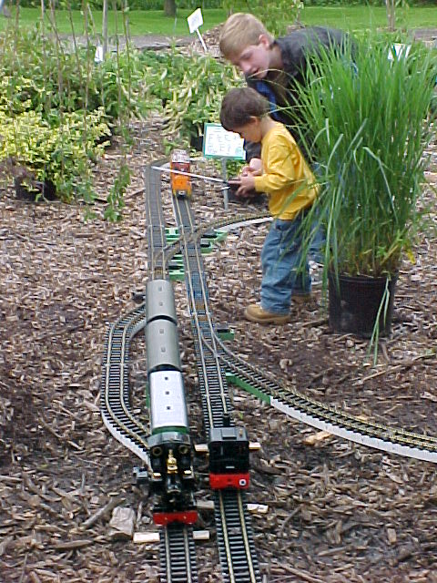 g gauge garden railway